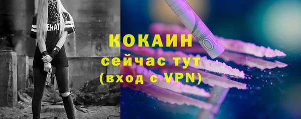 стаф Саяногорск