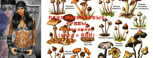 наркотики Белокуриха