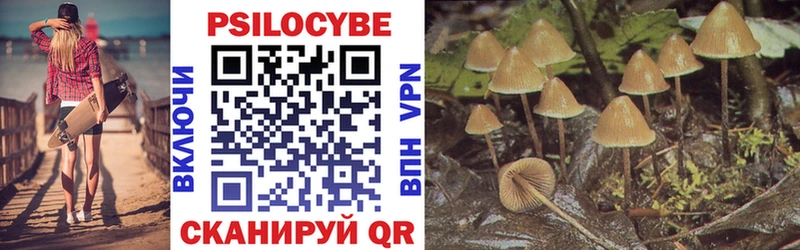 Псилоцибиновые грибы Psilocybine cubensis  Воркута 